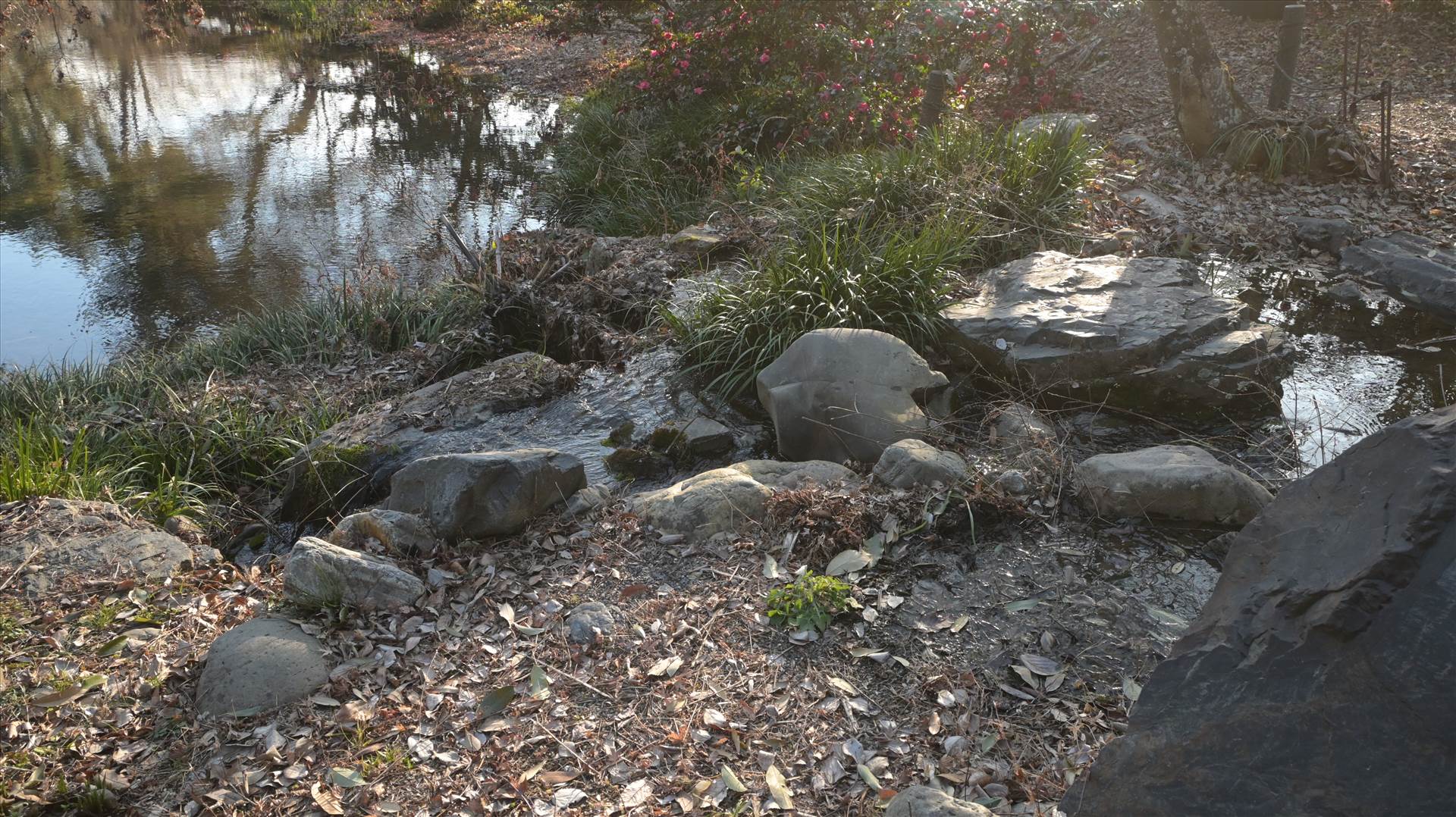 DSC_0751.JPG  by Cantaloupe1