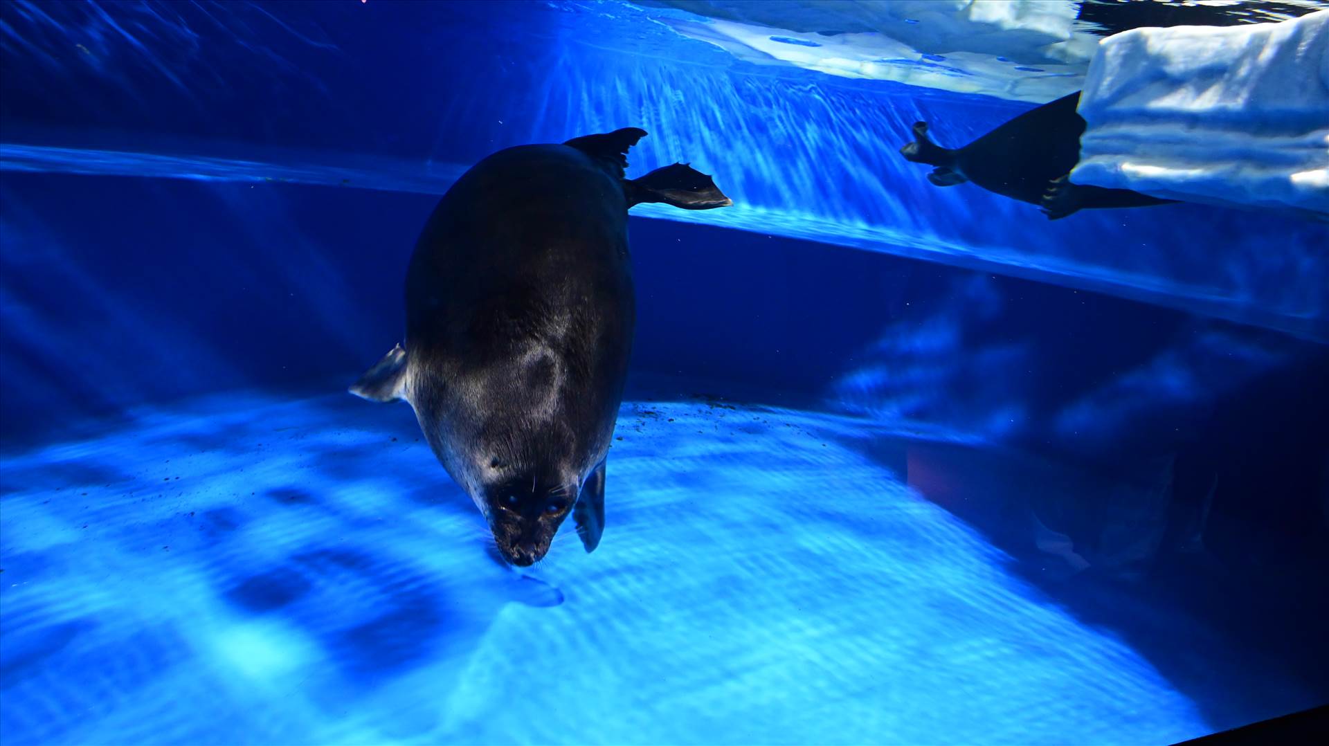 DSC_0410.JPG  by Cantaloupe1