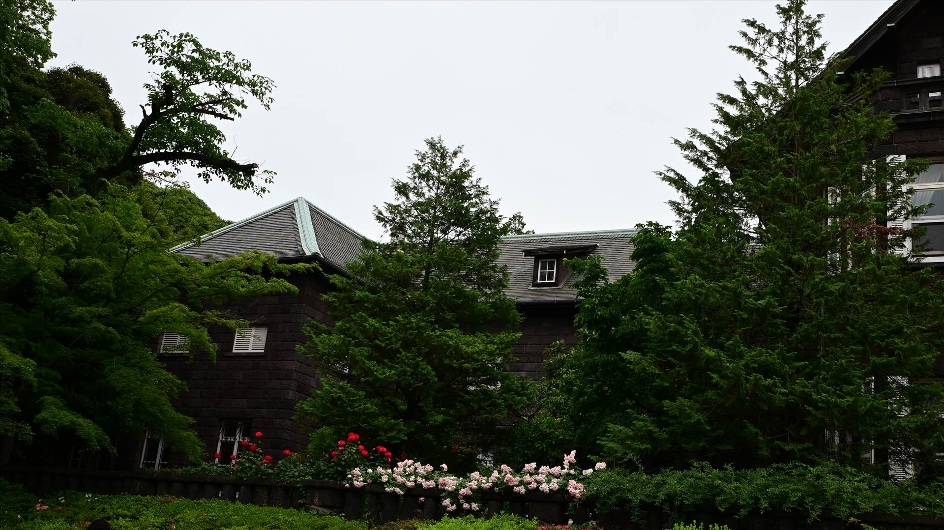 DSC_0175.JPG  by Cantaloupe1