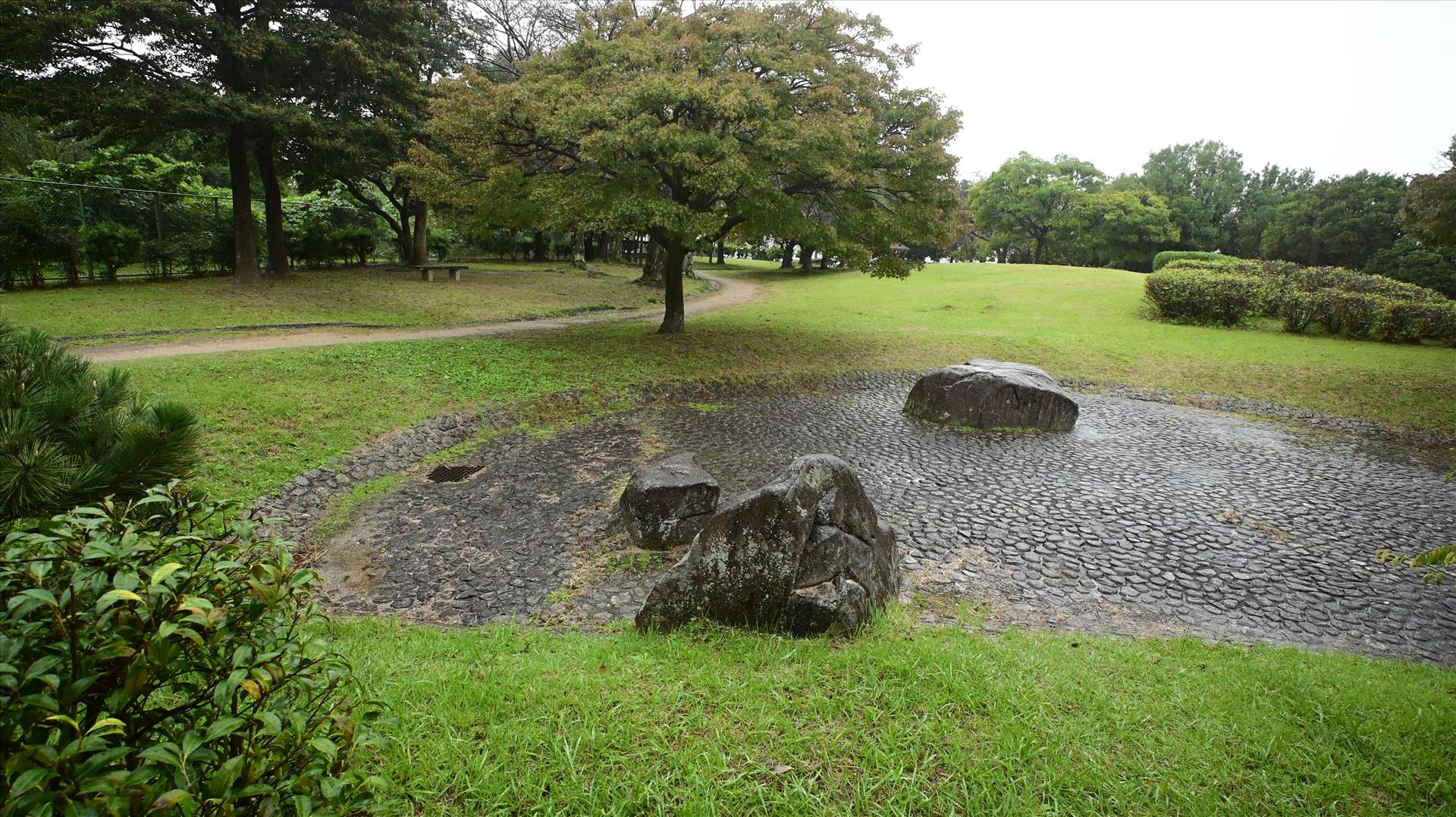 DSC_0575.JPG  by Cantaloupe1