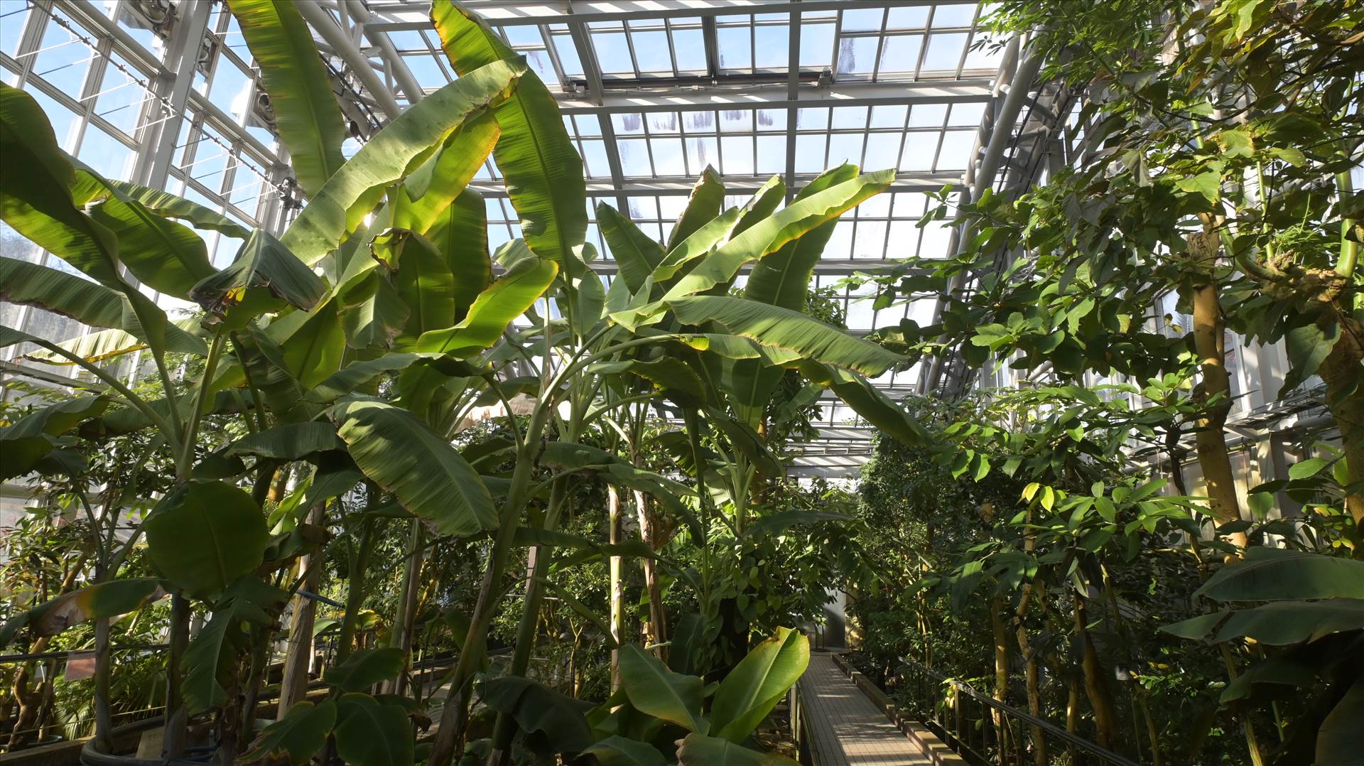 DSC_0676.JPG  by Cantaloupe1