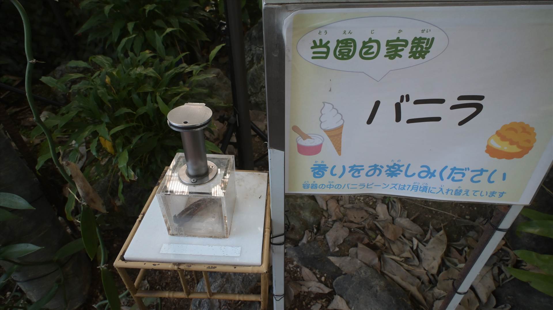 DSC_0741.JPG  by Cantaloupe1