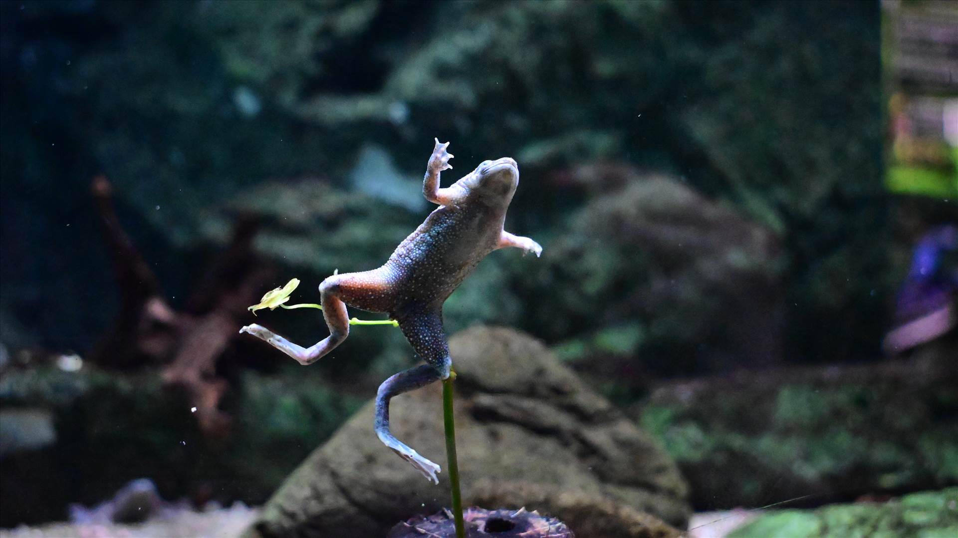 DSC_0330.JPG  by Cantaloupe1