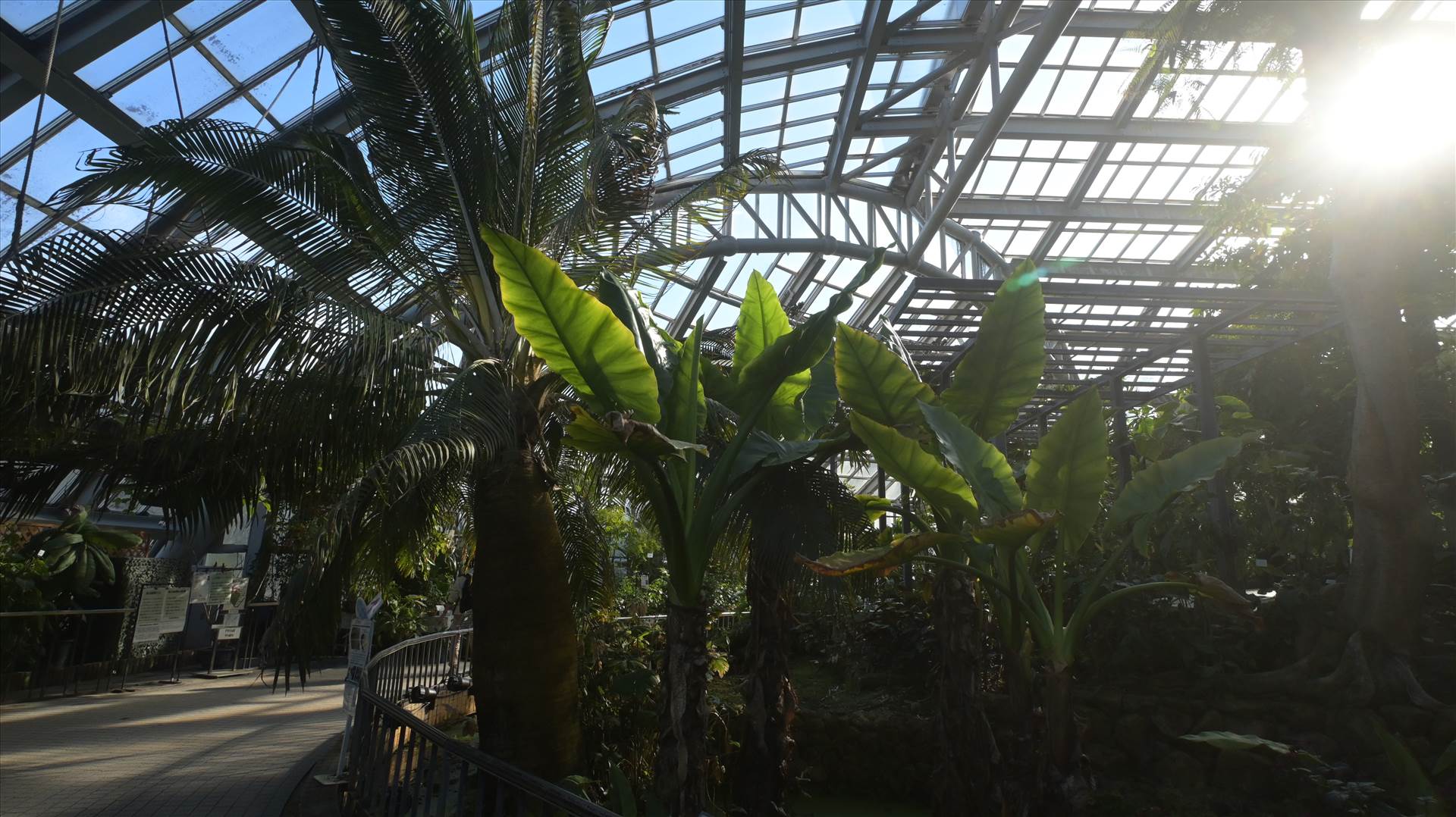 DSC_0641.JPG  by Cantaloupe1