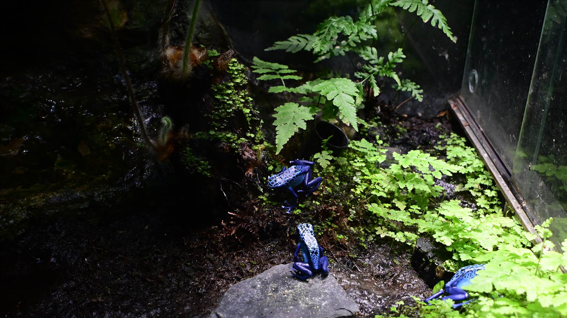 DSC_0353.JPG  by Cantaloupe1