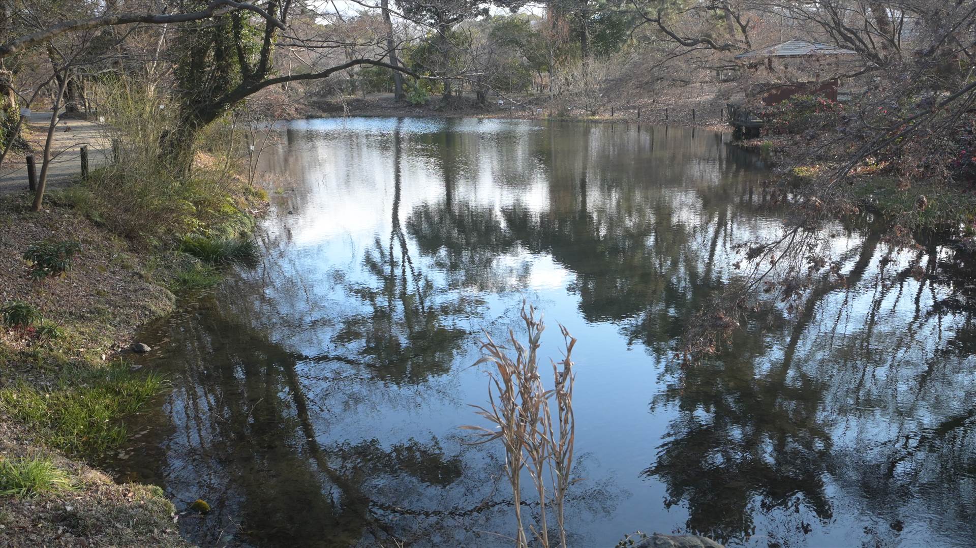 DSC_0755.JPG  by Cantaloupe1