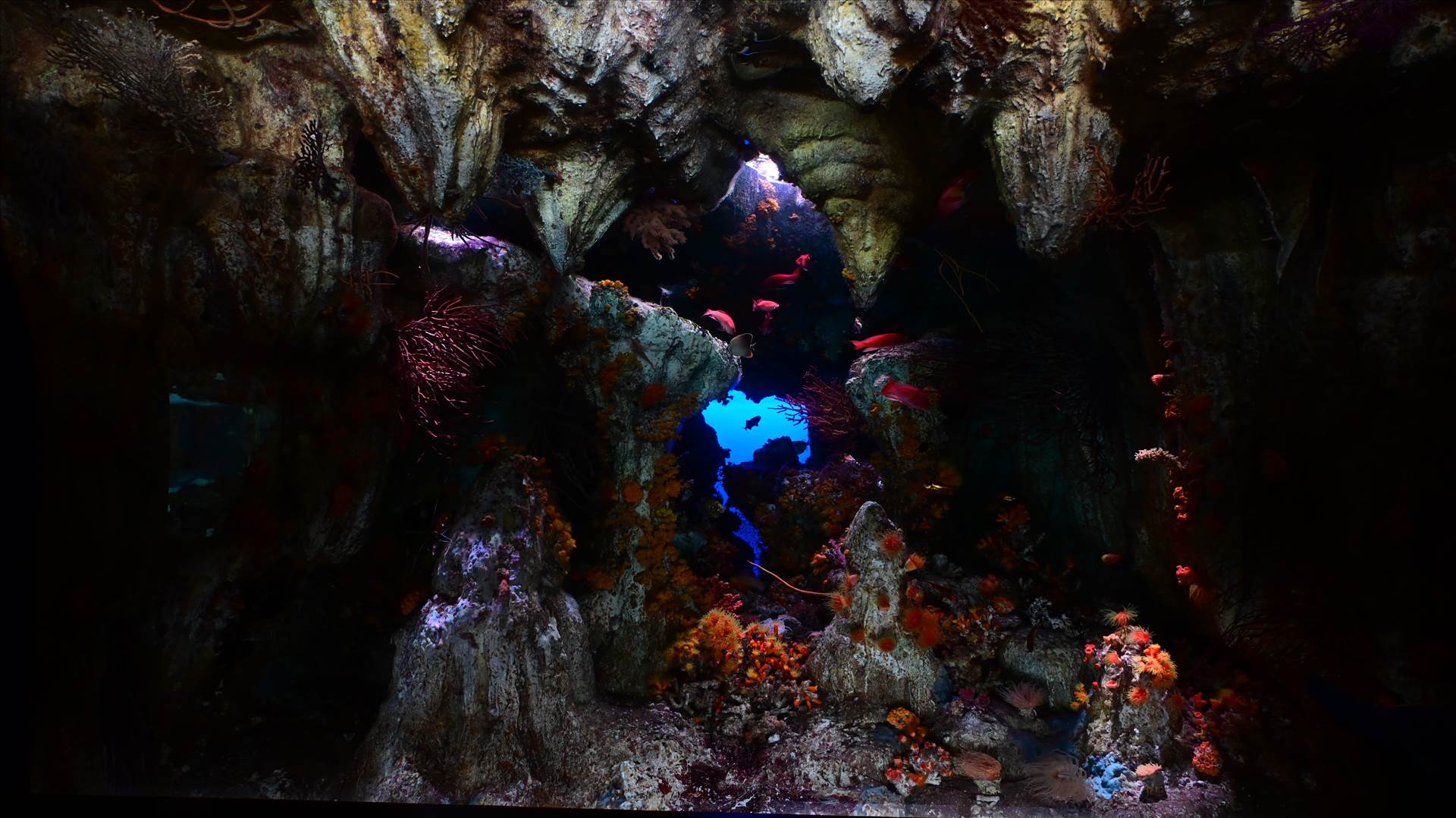 DSC_0225.JPG  by Cantaloupe1