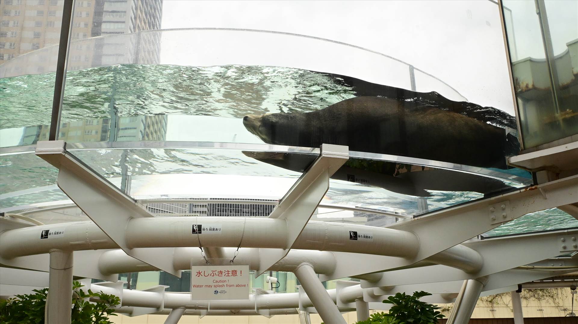 DSC_0482.JPG  by Cantaloupe1