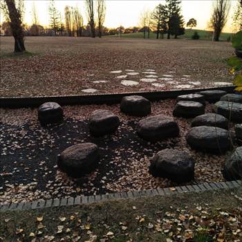 IMG_20251206_1659_winter-leaves.jpg - 