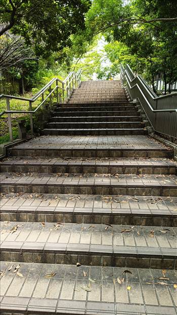 IMG_20250608_120407_772.jpg - 