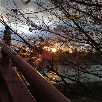 Uji Asagiri Bridge Luminous Bubble.jpg - 