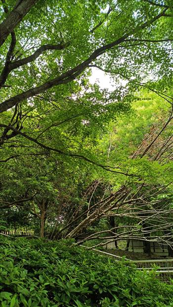 IMG_20250608_120259_076.jpg - 