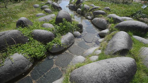 DSC_0938.JPG - 
