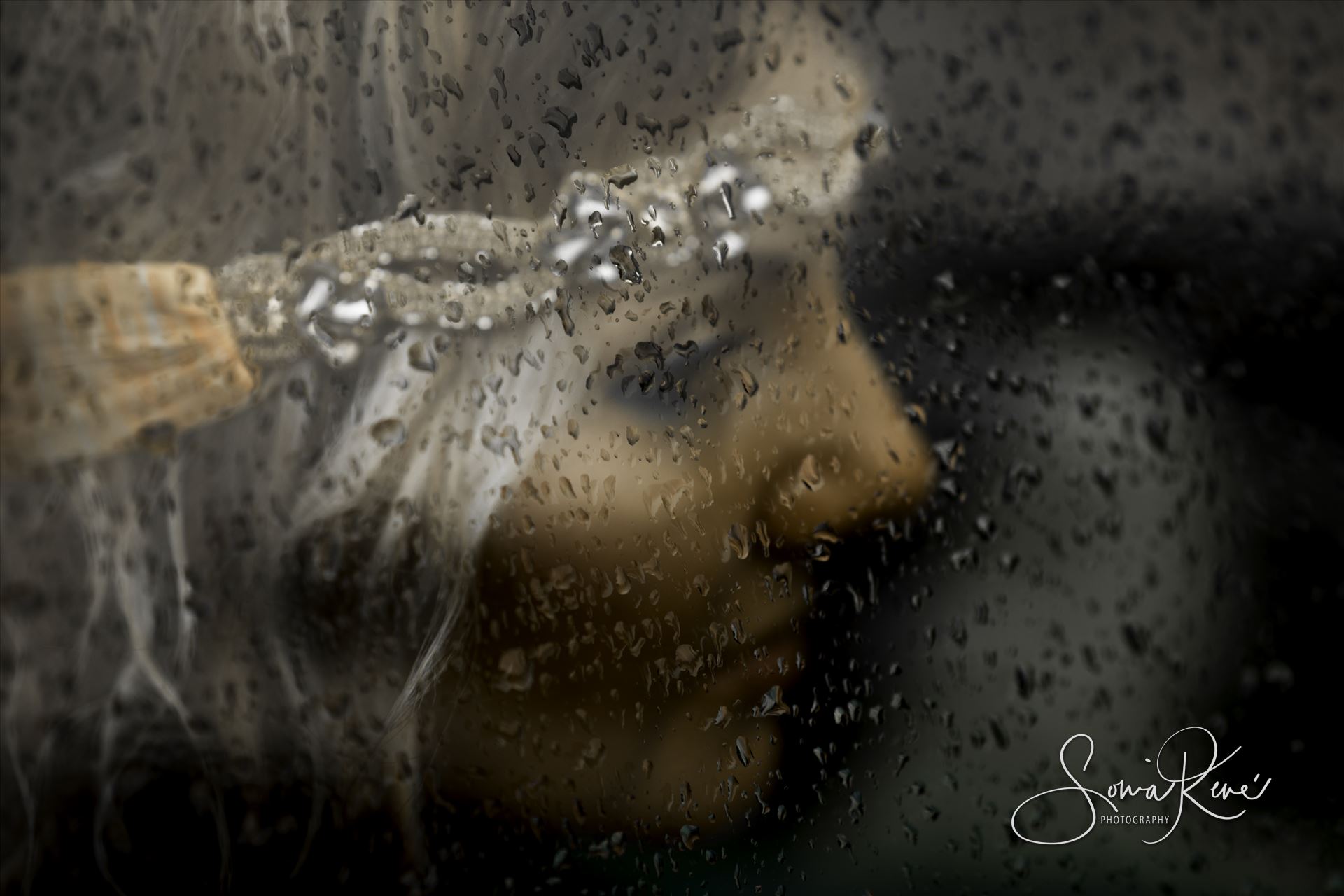 AI1A0678-2.jpg  by Sonia Rene' Photography