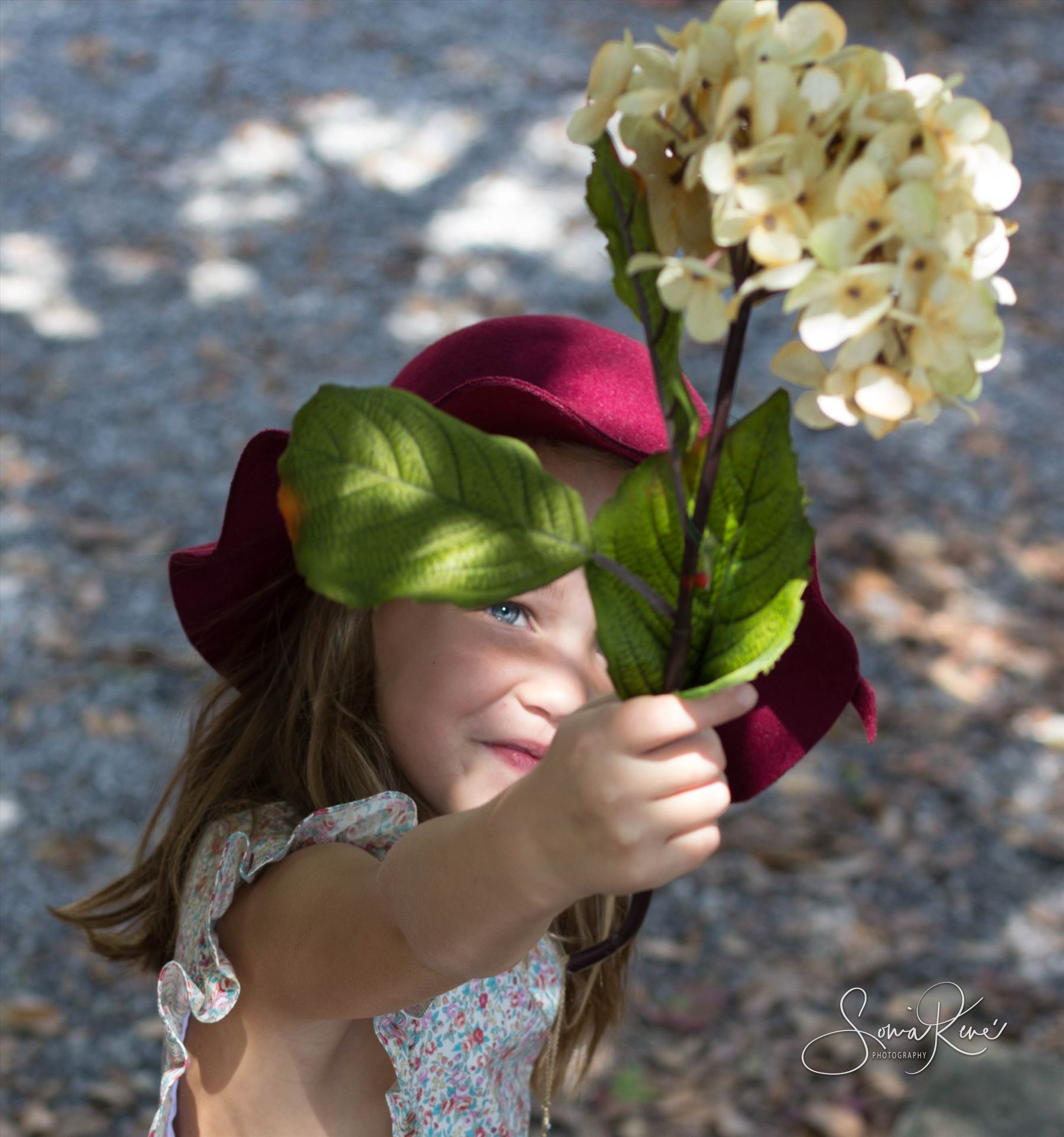 IMG_8048.jpg  by Sonia Rene' Photography