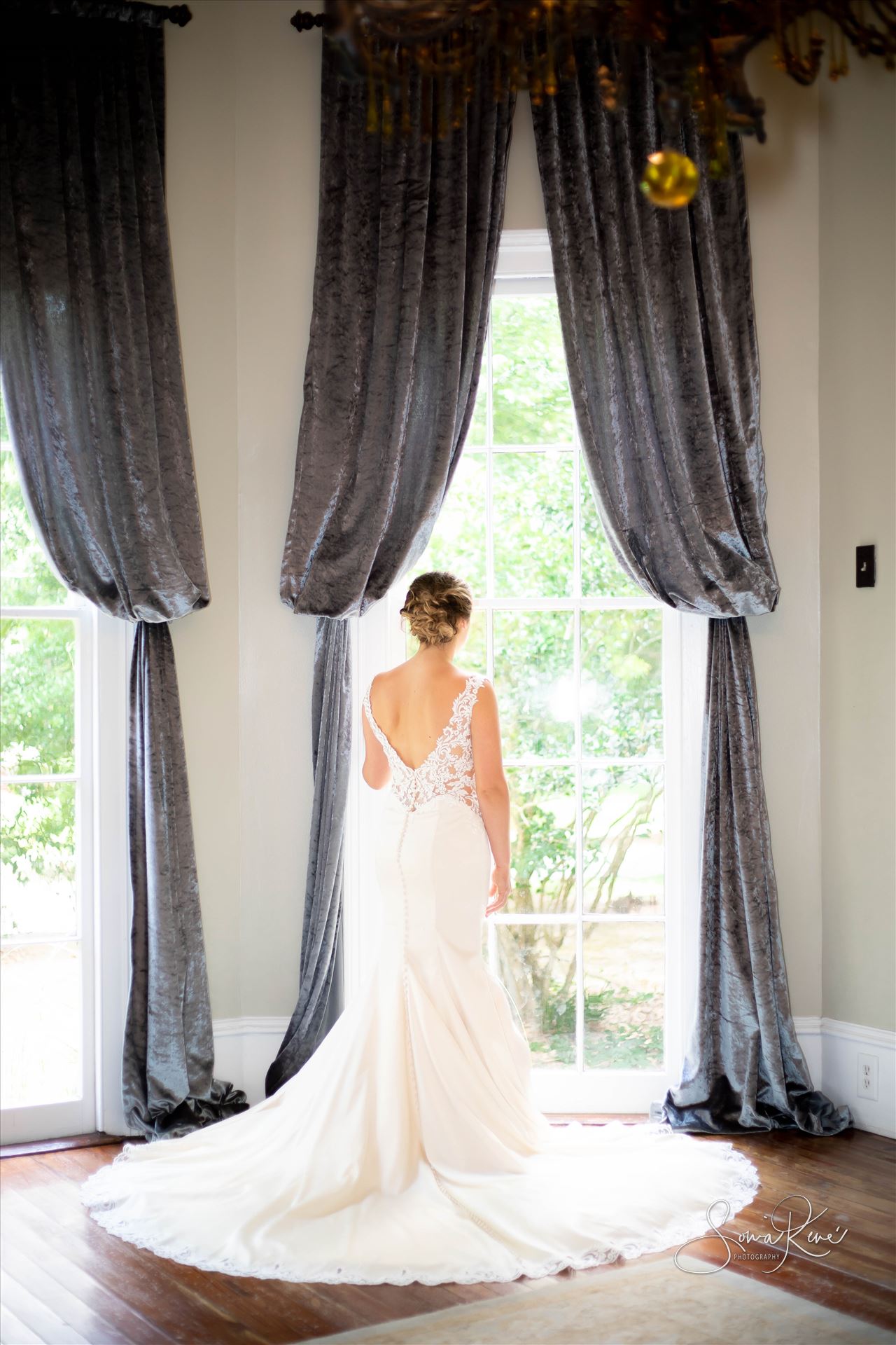 AI1A2724.jpg  by Sonia Rene' Photography