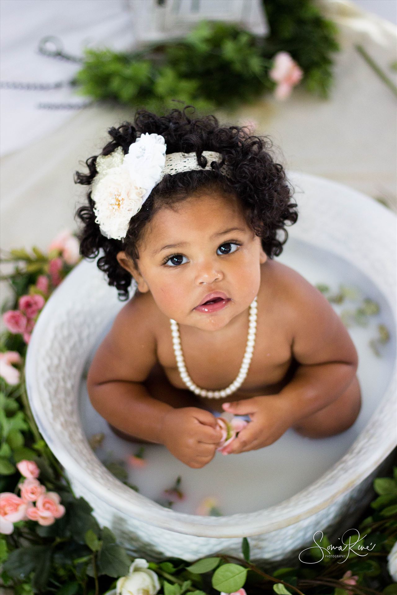 IMG_7454.jpg  by Sonia Rene' Photography