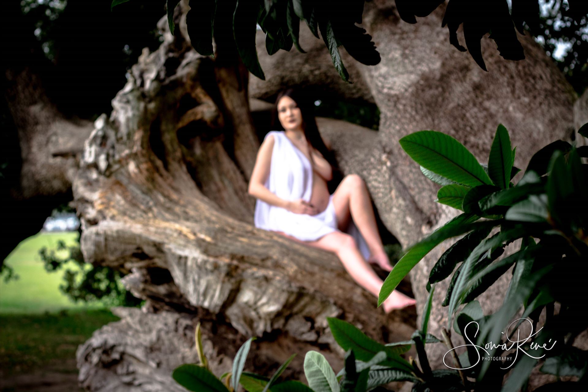 IMG_1561.jpg  by Sonia Rene' Photography