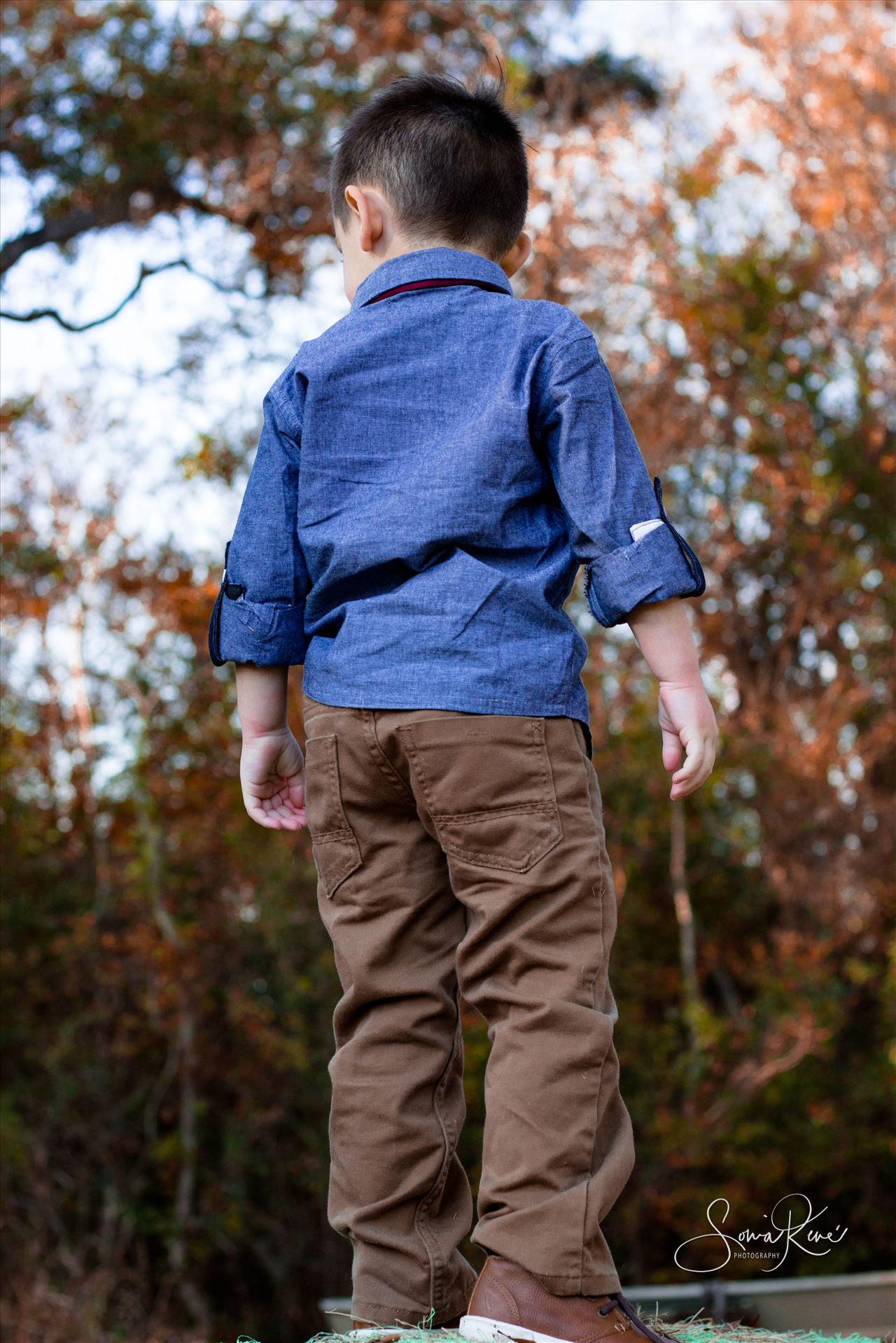 IMG_7255.jpg  by Sonia Rene' Photography