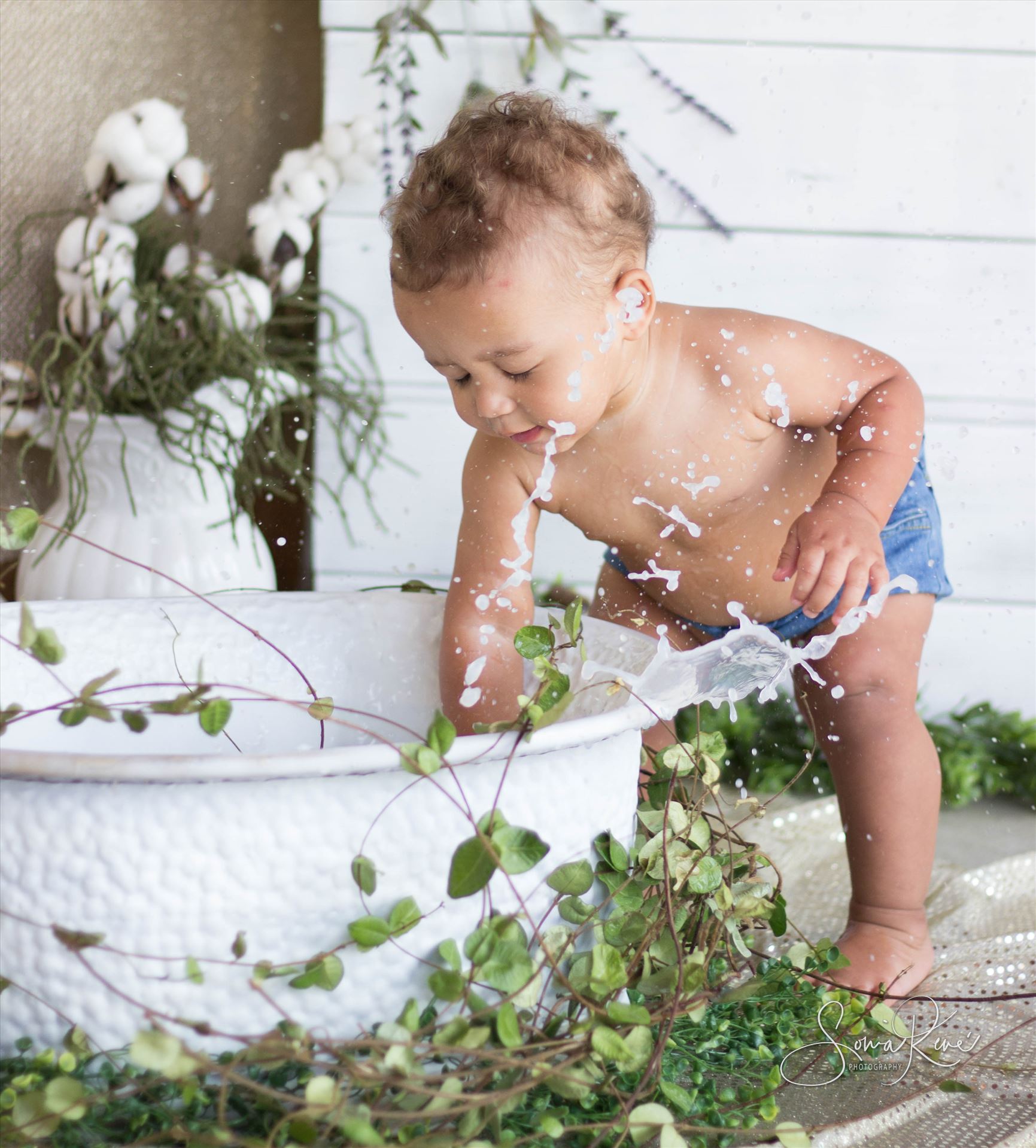 IMG_6673.jpg  by Sonia Rene' Photography