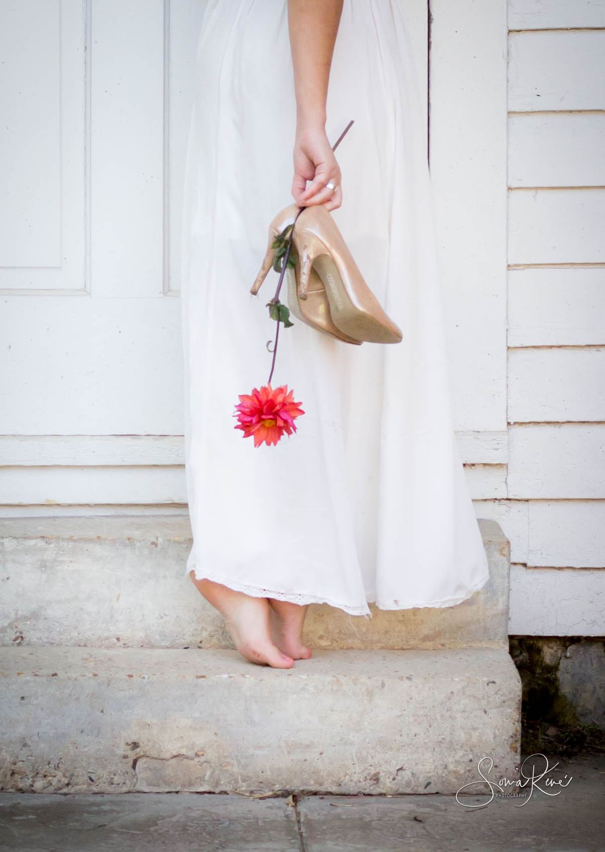 IMG_2199-2.jpg  by Sonia Rene' Photography