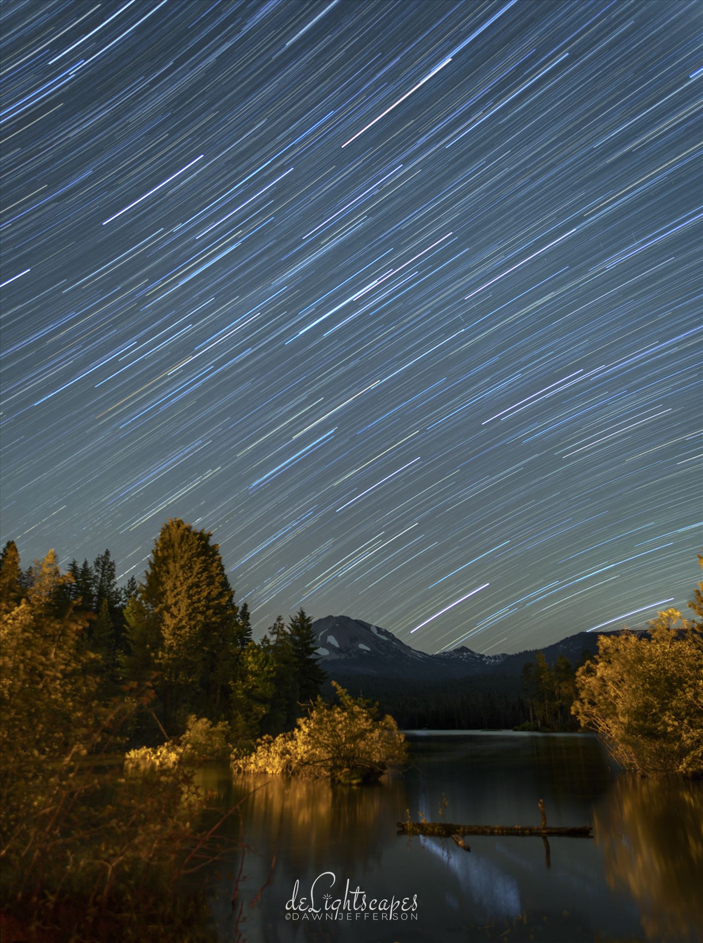 Star Trails in the Summer Sky  by Dawn Jefferson