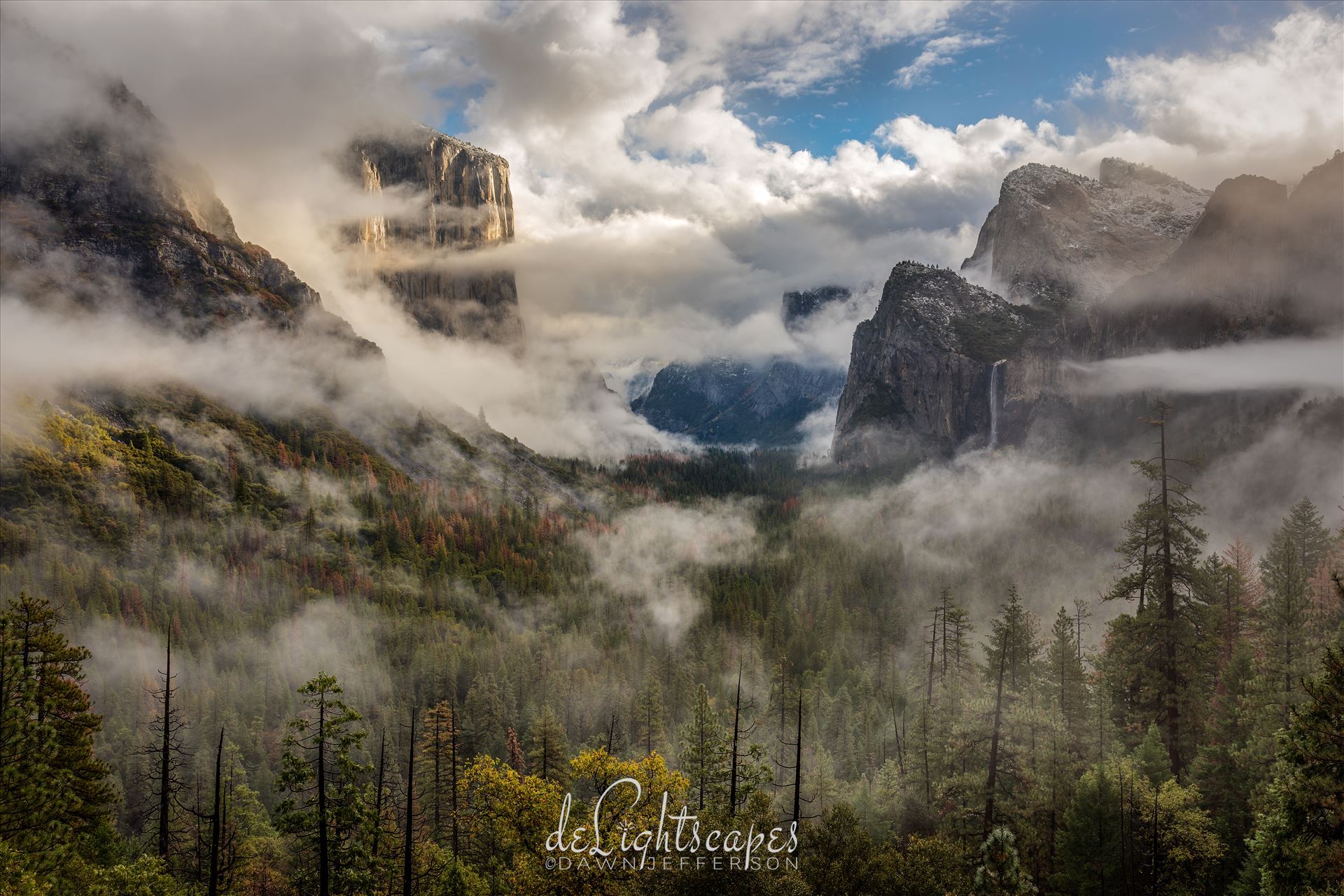 Clearing Storm Yosemite  by Dawn Jefferson