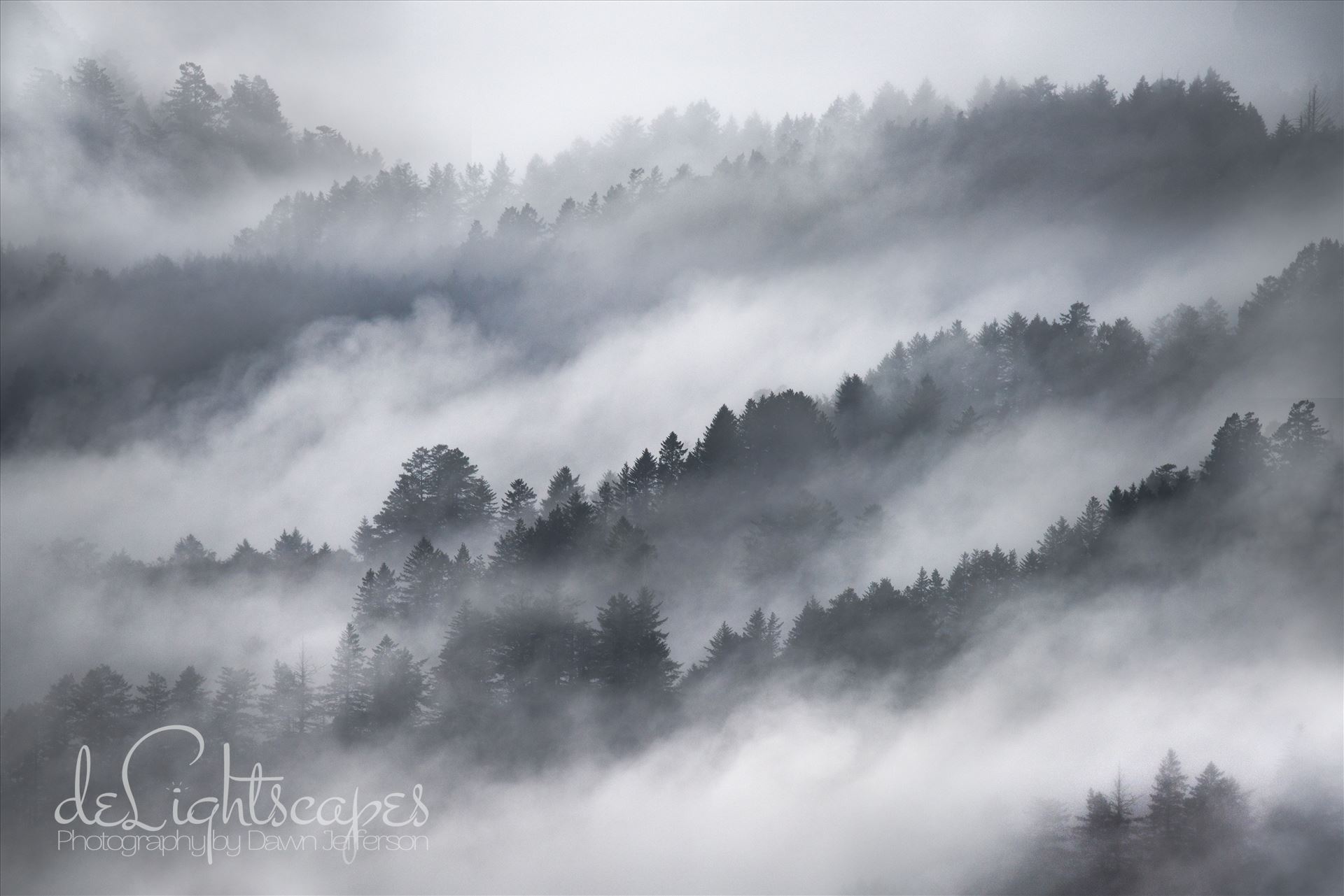Misty Mountains  by Dawn Jefferson