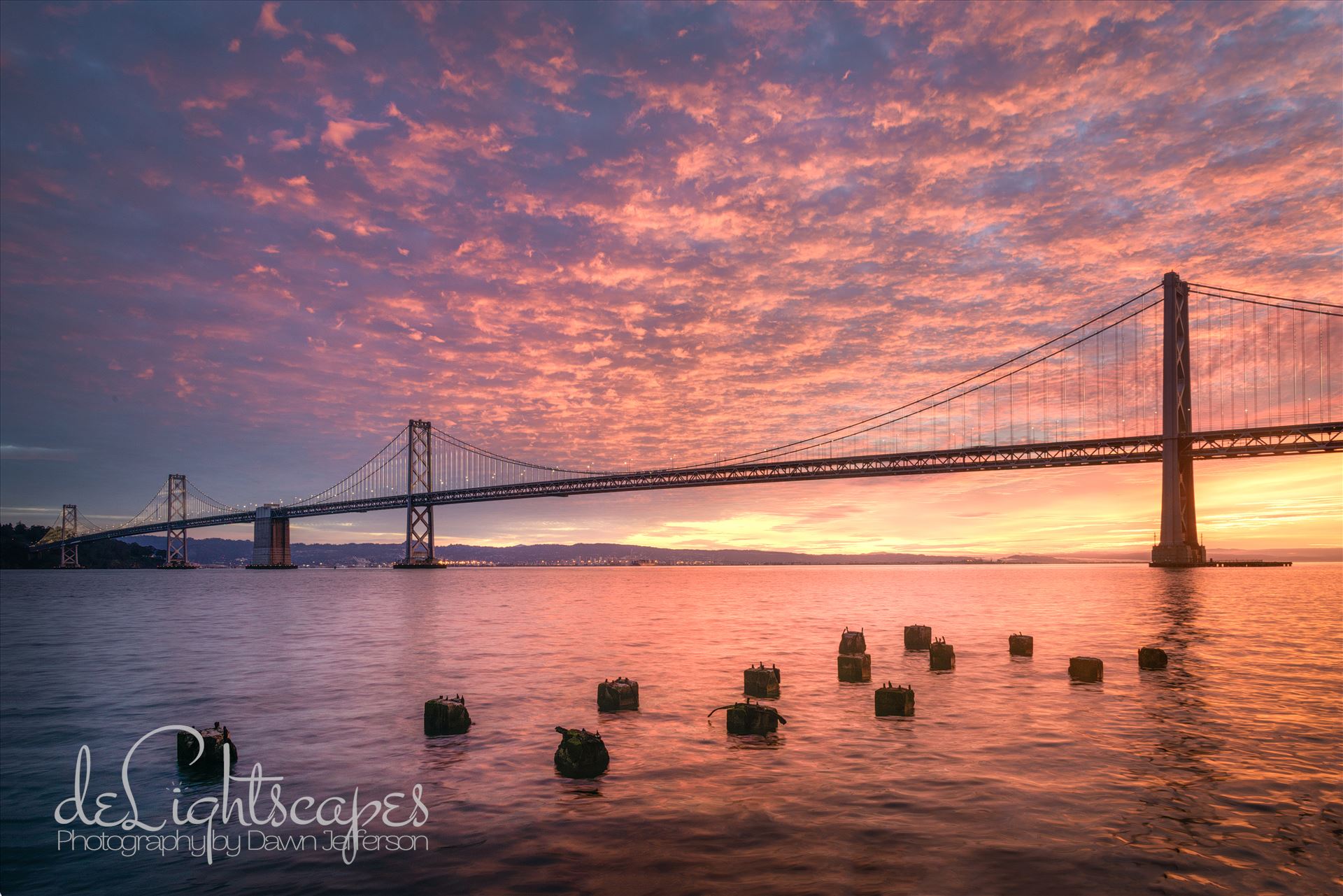 Cotton Candy Sunrise A gorgeous pink sunrise at the San Francisco Bay Bridge by Dawn Jefferson