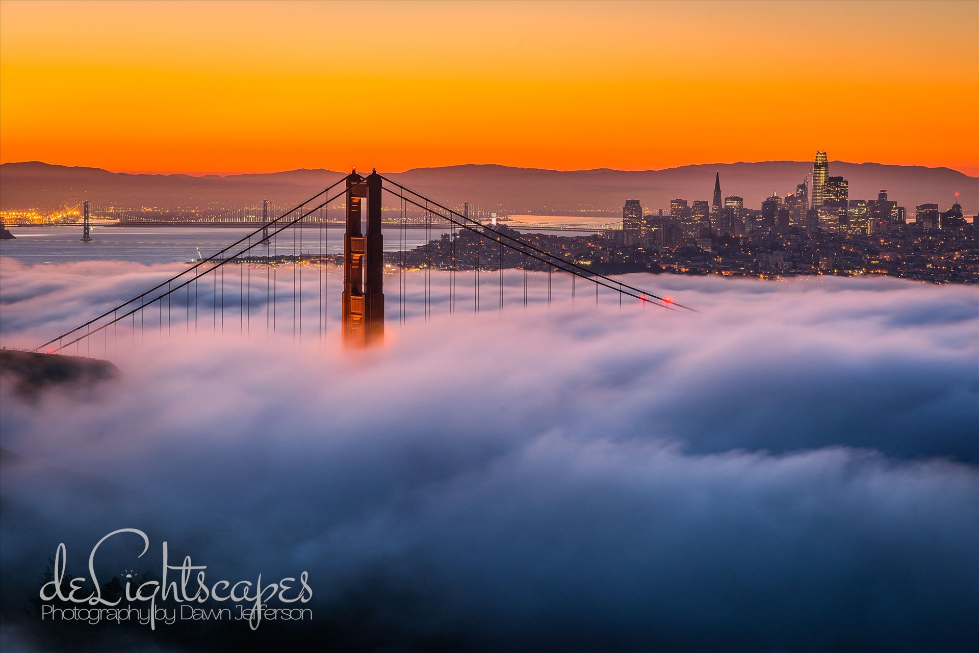Above It All Quintessential San Francisco by Dawn Jefferson