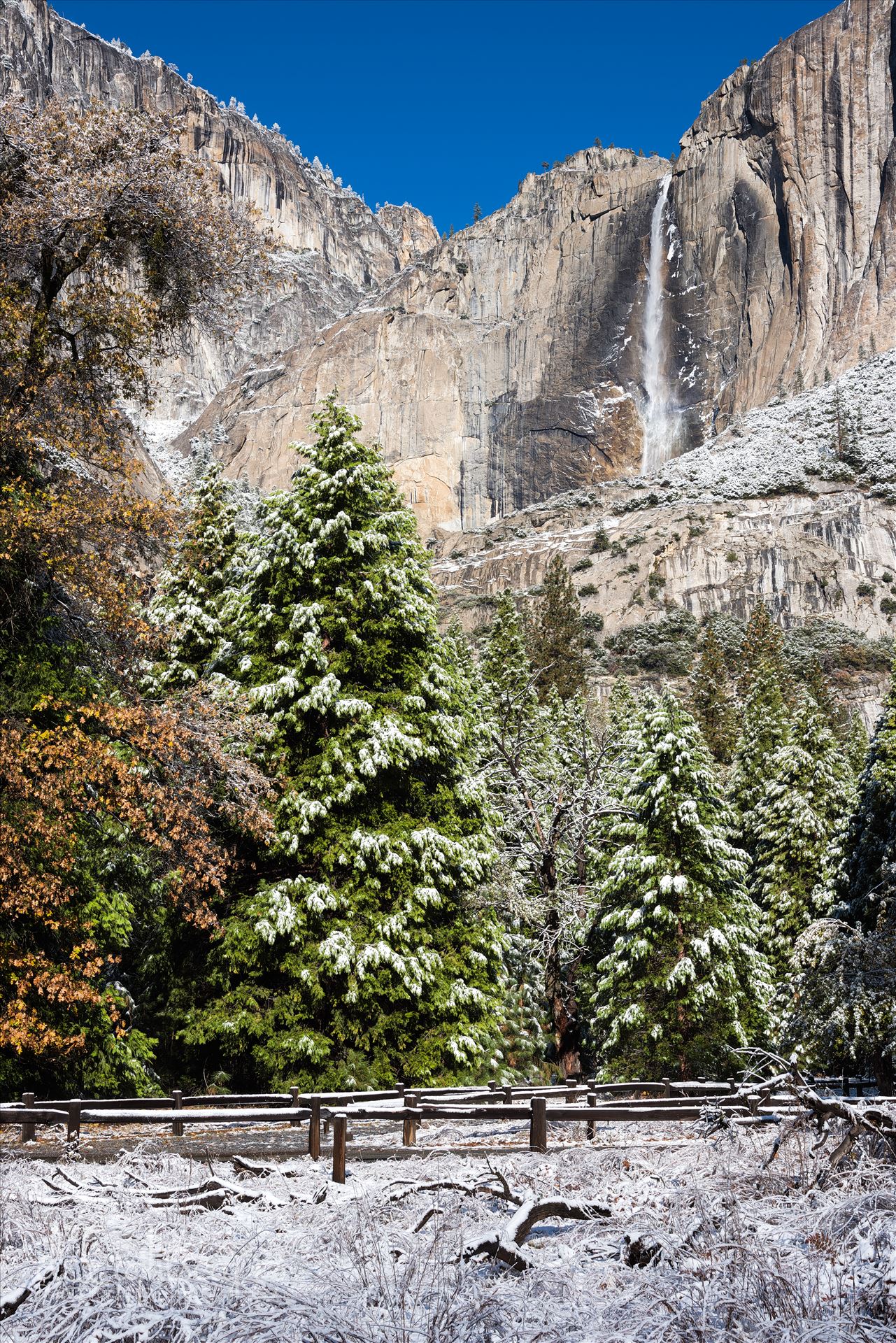 Yosemite Falls in Winter  by Dawn Jefferson
