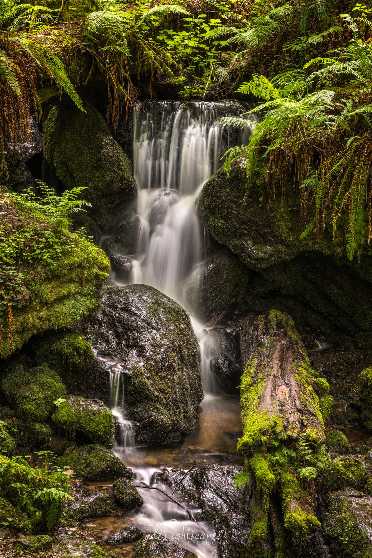 Trillium Falls  by Dawn Jefferson