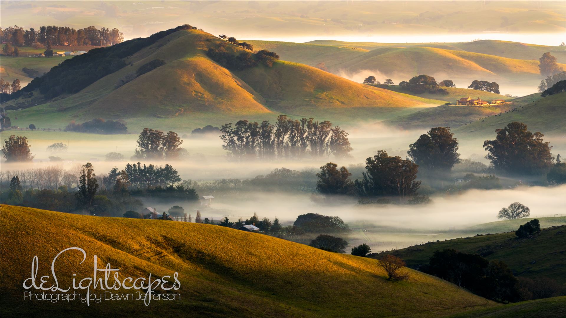 Valley Fog  by Dawn Jefferson