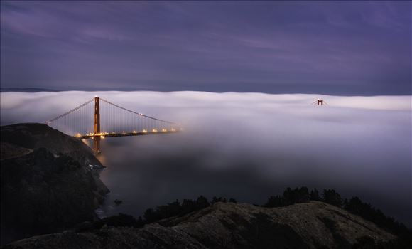 Twilight Fog by Dawn Jefferson