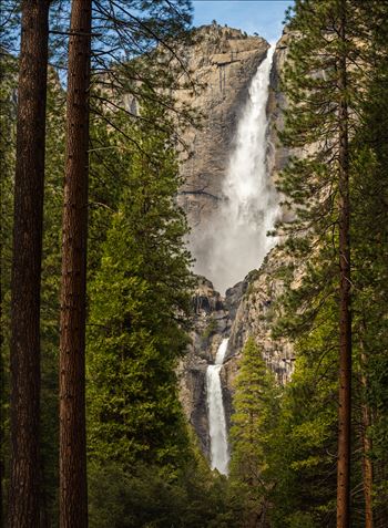 Yosemite Falls by Dawn Jefferson