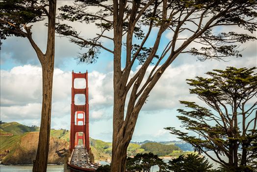 Postcard of the Golden Gate Bridge by Dawn Jefferson