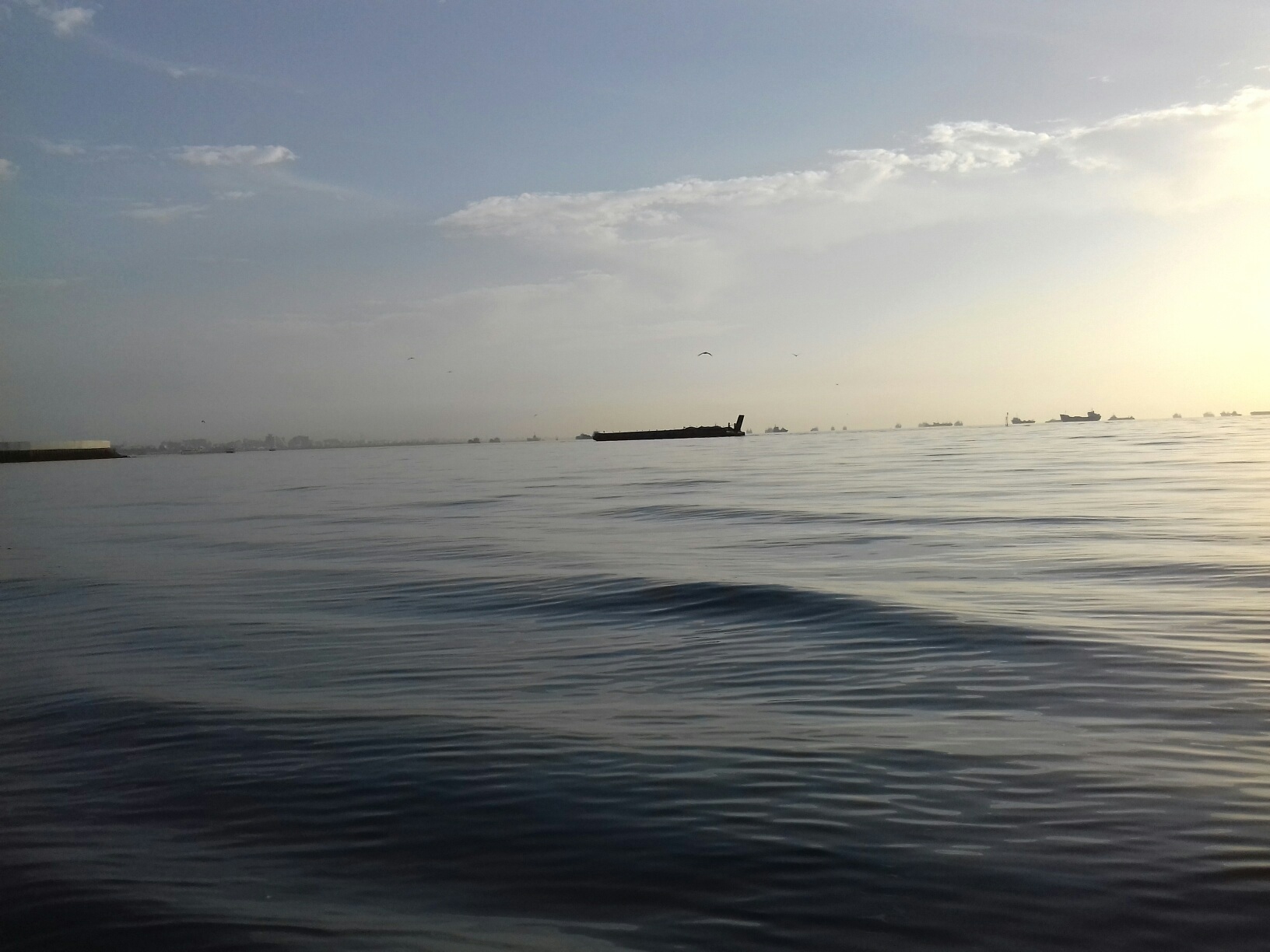 1541653571082685.jpg  by saeedzahabii