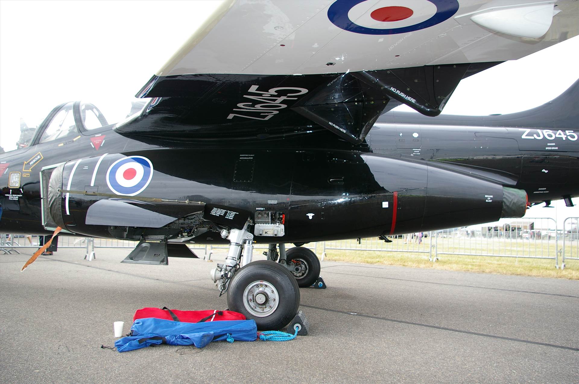 IMGP2989.JPG  by smudge