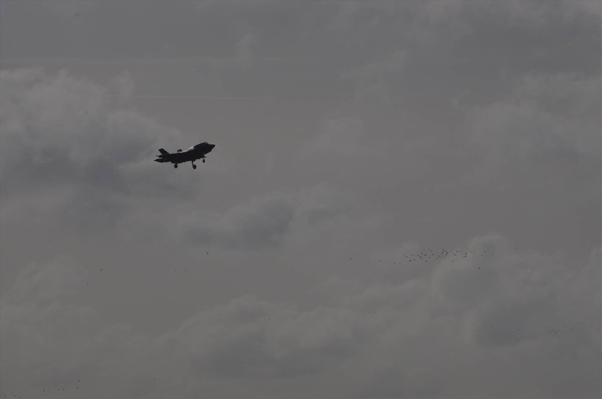 Marham 11.02.19 552.JPG  by smudge