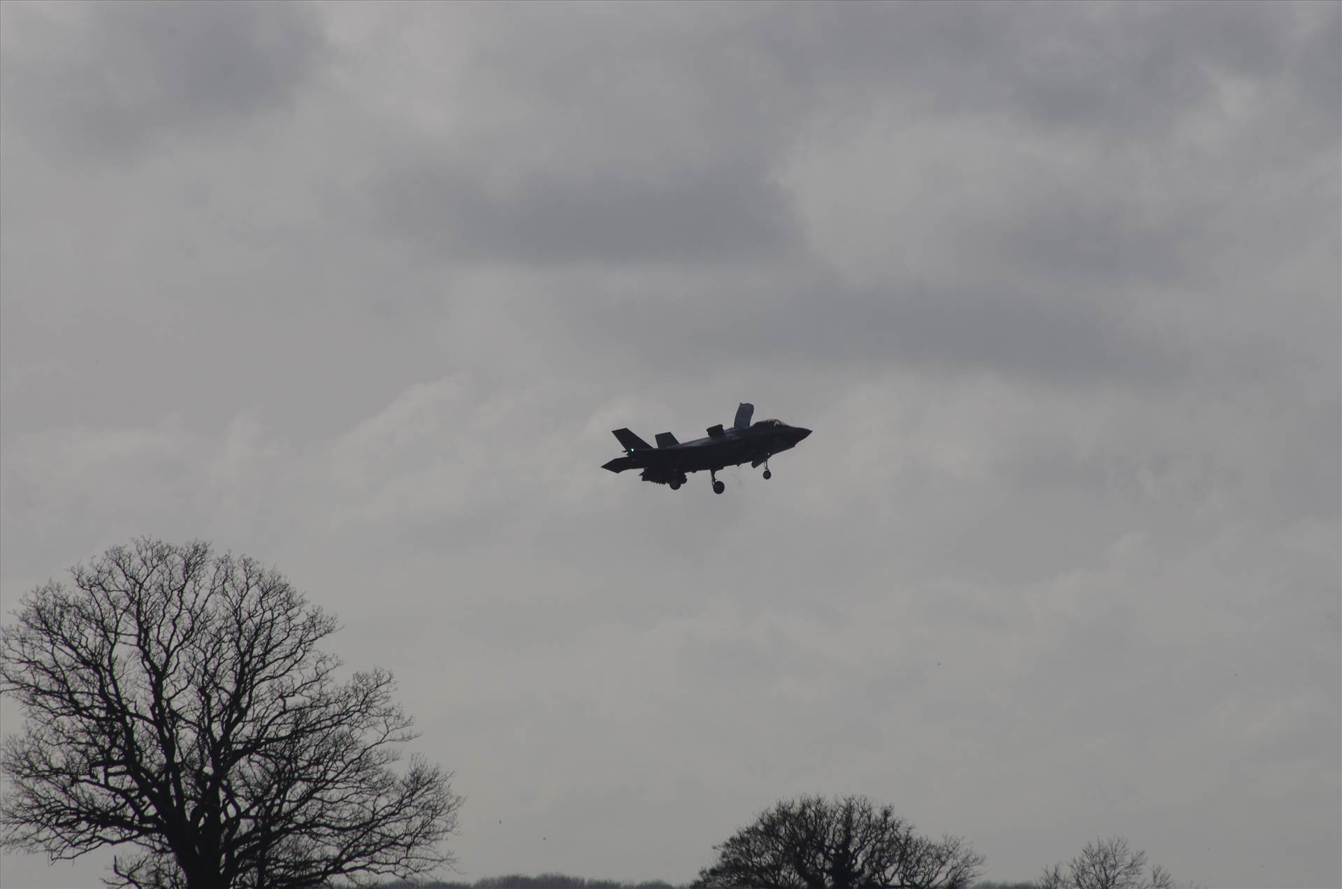 Marham 11.02.19 570.JPG  by smudge