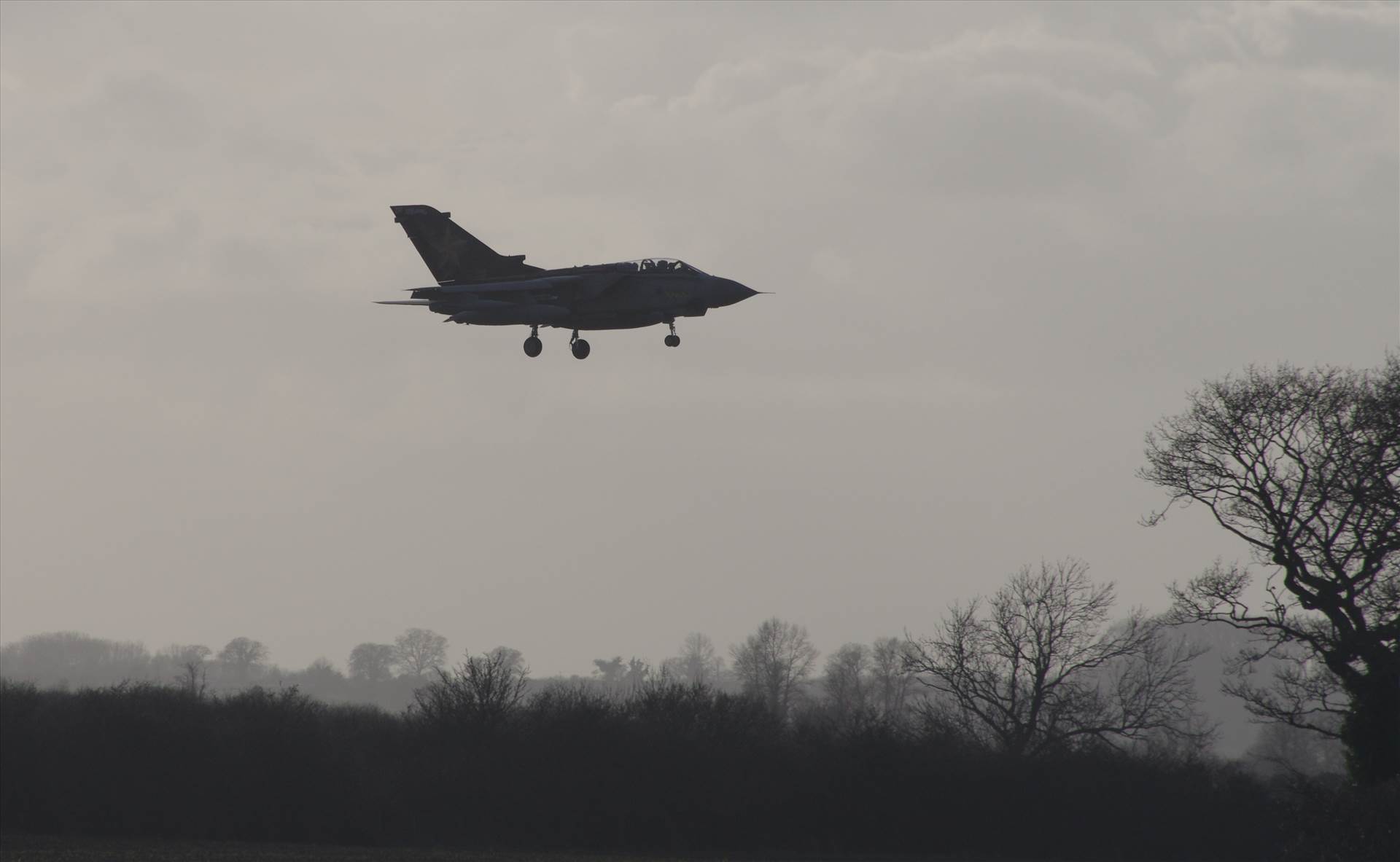 Marham 11.02.19 613 (2).jpg  by smudge