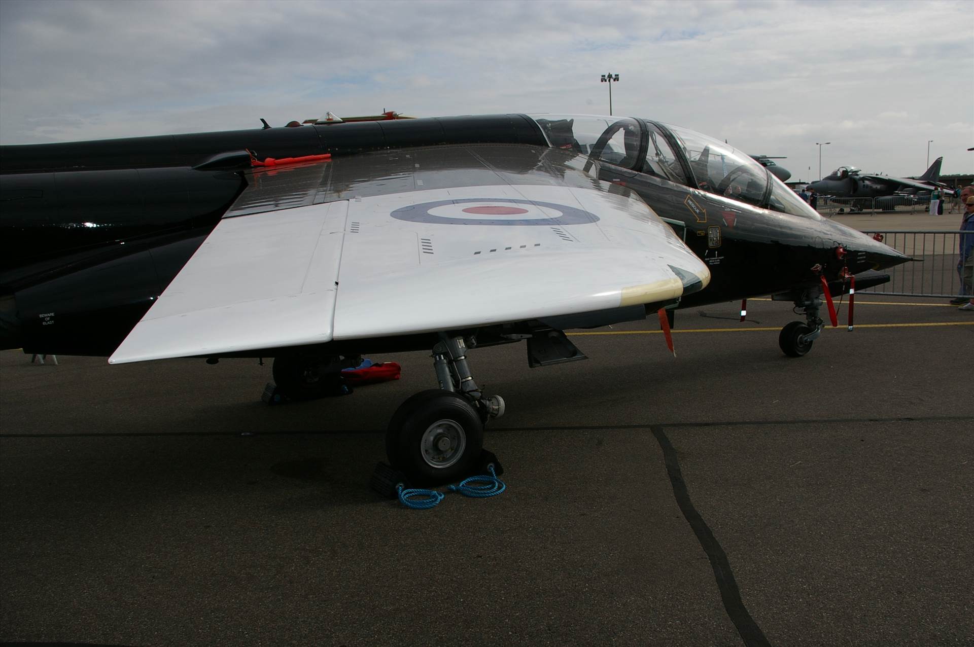 IMGP2985.JPG  by smudge