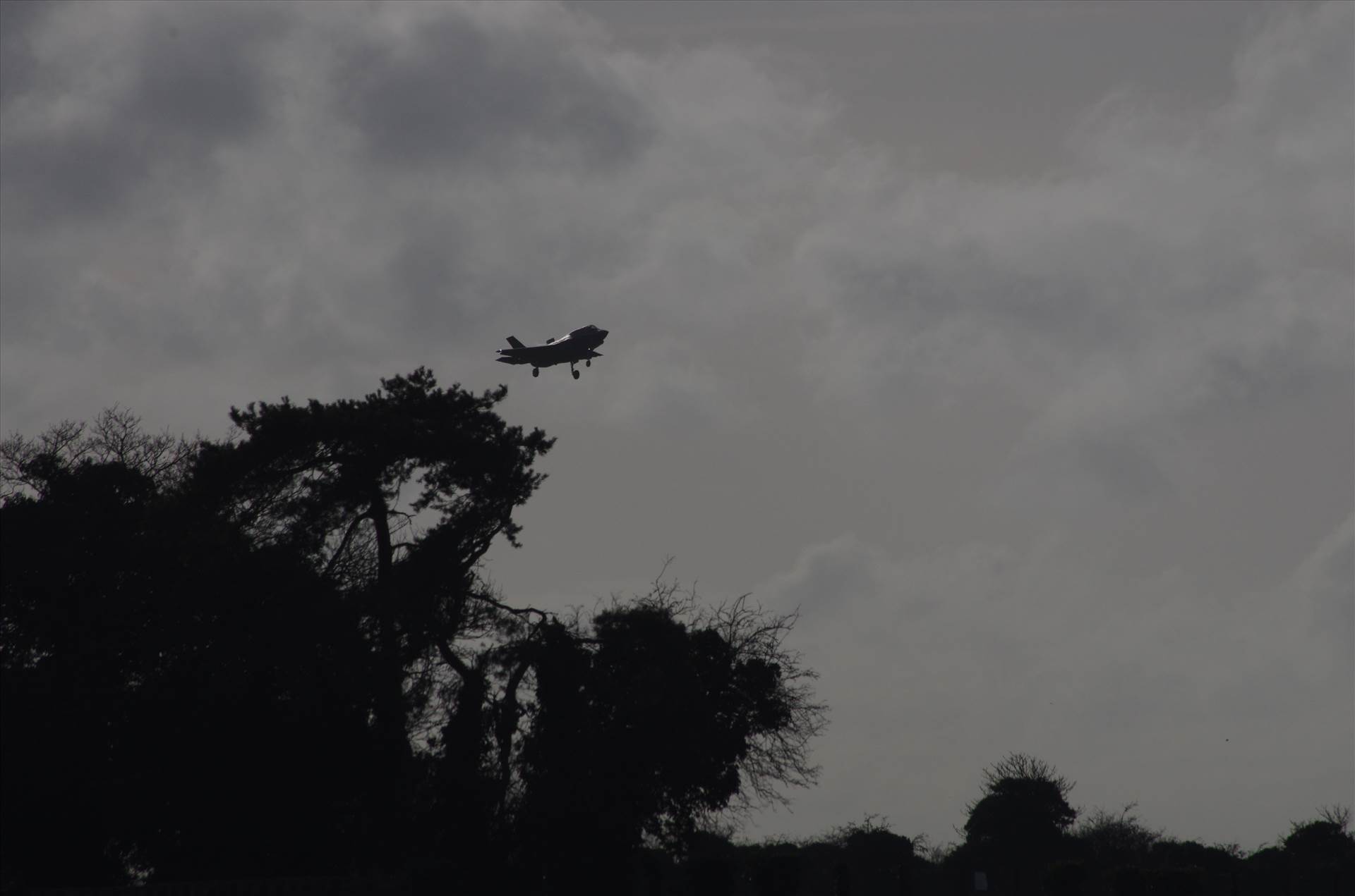 Marham 11.02.19 558.JPG  by smudge