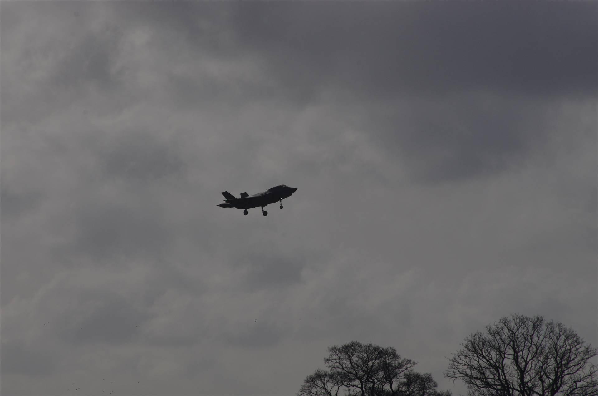 Marham 11.02.19 553.JPG  by smudge