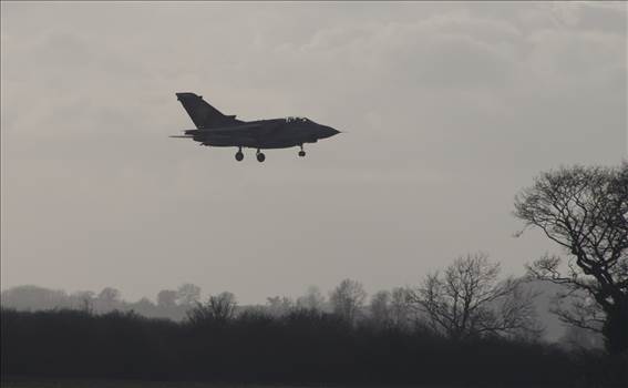 Marham 11.02.19 613 (2).jpg - 