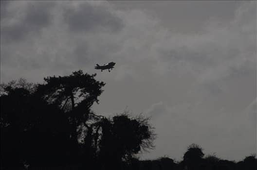 Marham 11.02.19 558.JPG - 