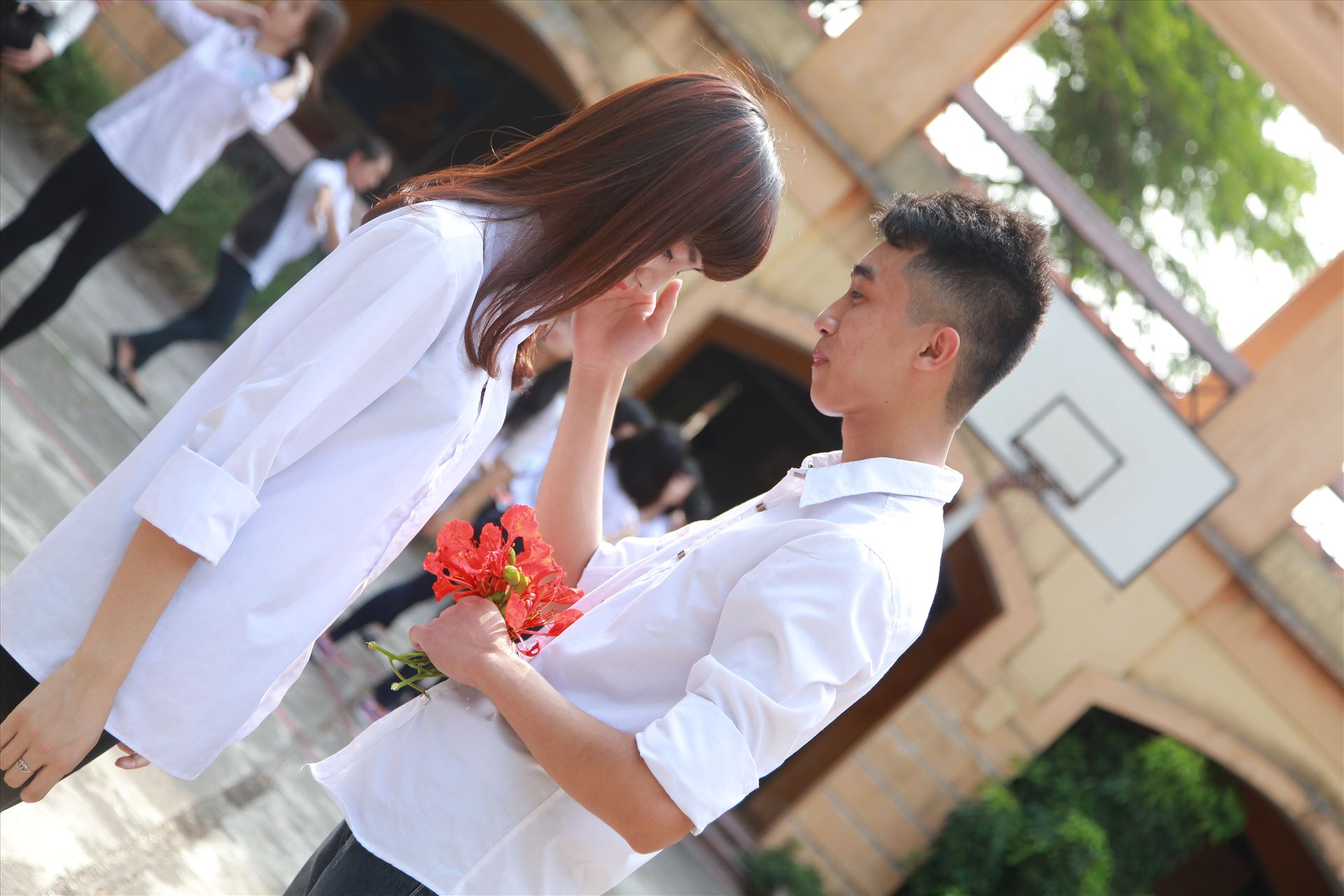 IMG_0706.JPG  by Khoa1102