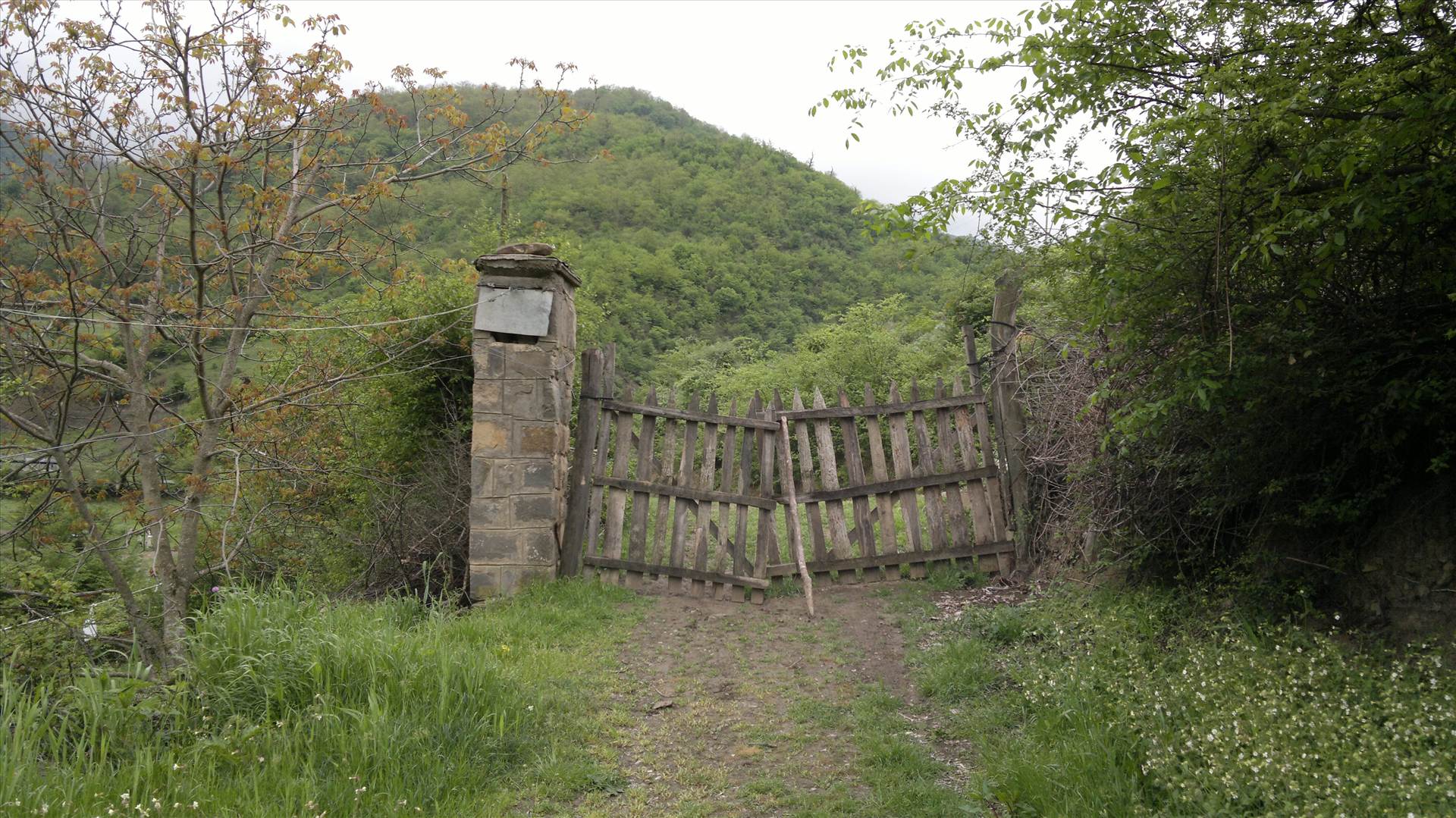 2010-02-04-186.jpg  by 6406865