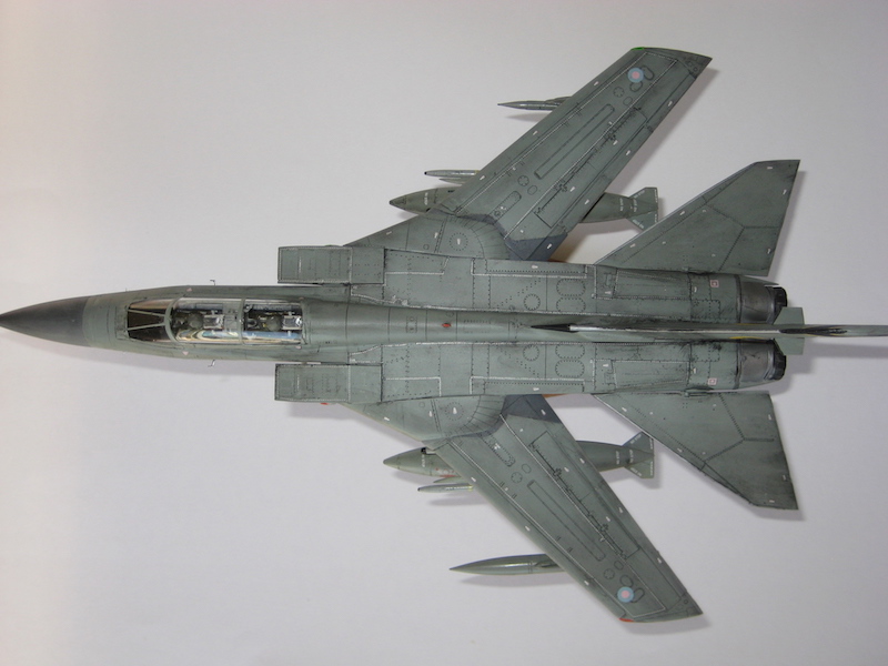 IMG_5637.JPG  by Sweaty