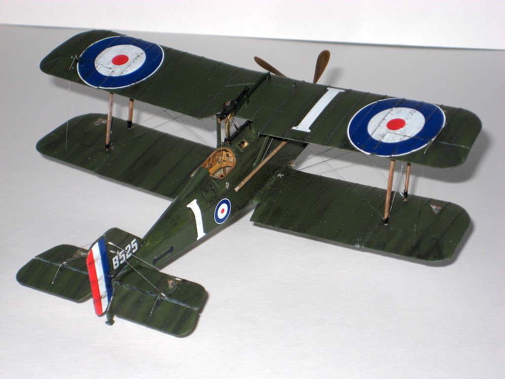 IMG_5136.JPG  by Sweaty